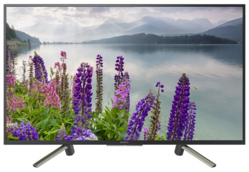 Sony KDL-49WF804 48,5 (2018)