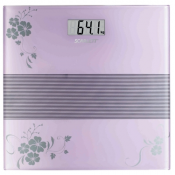 Scarlett SC-BS33E060