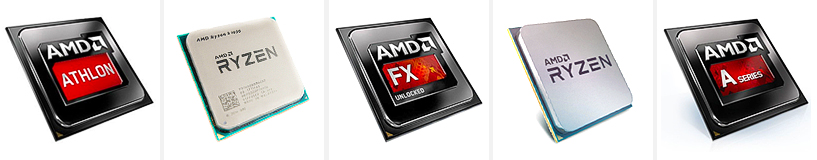 דירוג מעבדי AMD הטובים ביותר