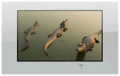 AquaView 42