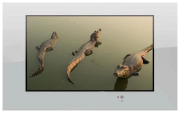 AquaView 42
