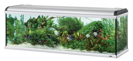 Ferplast Star slatka voda 750 l Ferplast Star slatka voda 750 l