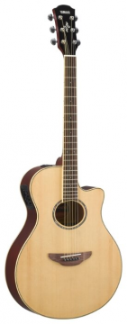 Yamaha APX600
