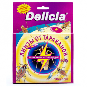 Delicia leće od žohara