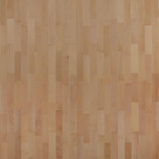 Sinteros Europarquet Bukva Classic
