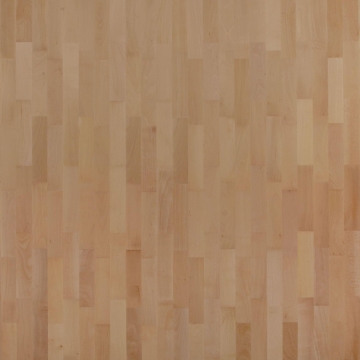 Sinteros Europarquet Bukva Classic
